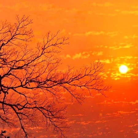 آهنگ شاد عربی غصبن عنک لجیبک واصیر حبیبک