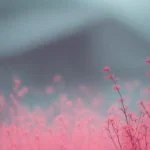 آهنگ شاد بانو بشم فدای اون رنگ چشاتون – مجتبی دربیدی