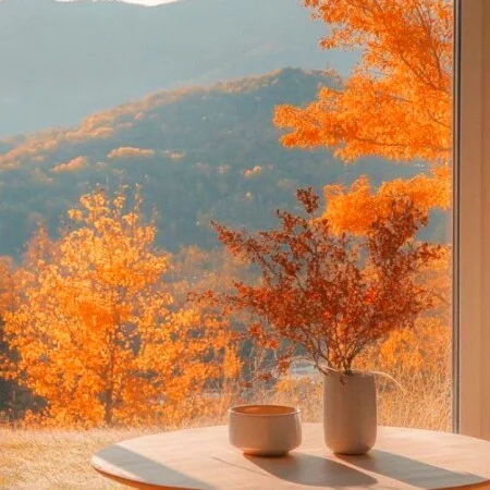 آهنگ شاد آمدی این زندگی رنگی گرفت ای مه رویایی من