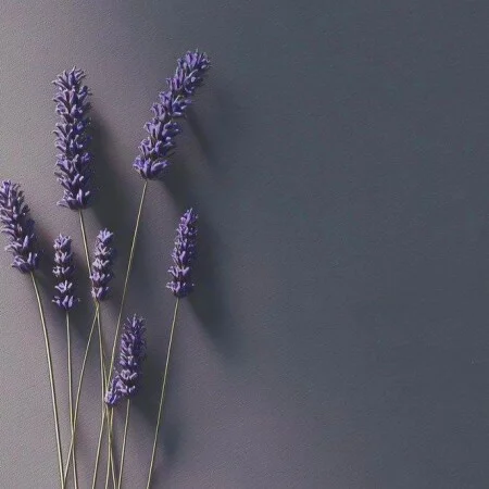 آهنگ شاد انگلیسی Treat People With Kindness از هری استایلز