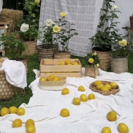آهنگ شاد شب رویایی آرون افشار