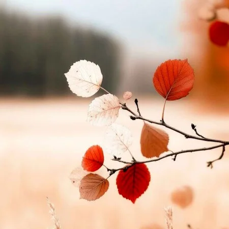 آهنگ شاد انگلیسی Treat People With Kindness از هری استایلز