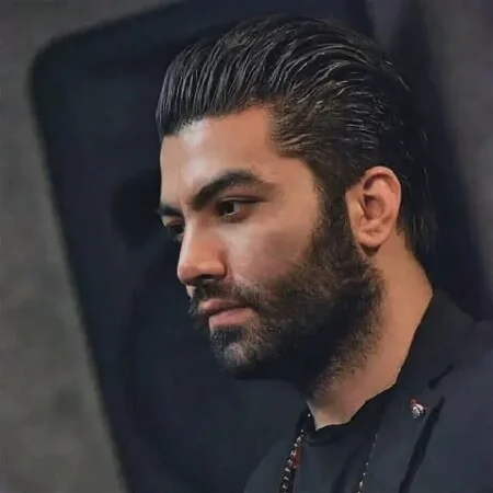 آهنگ شاد آمدی این زندگی رنگی گرفت ای مه رویایی من