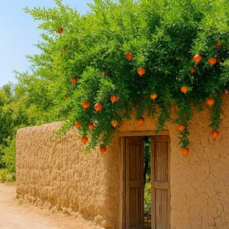 دانلود آهنگ شاد ترند هنو تا یه بارون میاد میره قلبم برات عرشیاس