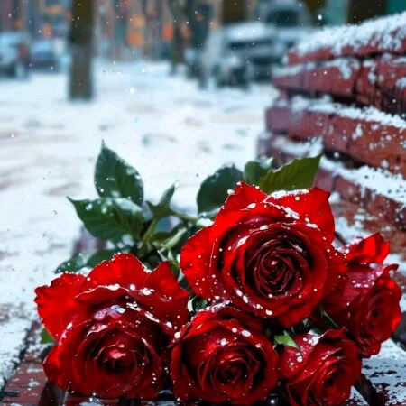 آهنگ شاد خارجی Dai Dai با صدای شکیرا