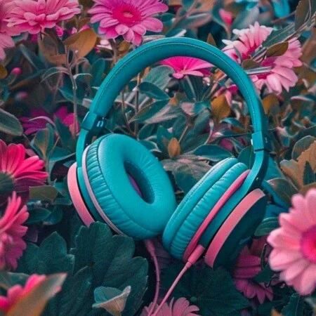 آهنگ شاد انگلیسی mirandote از Rvfv ترند اینستا