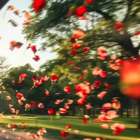 آهنگ شاد بله بله دوست دارم یه عالمه من بدون تو میمیرم 0098 اشکین