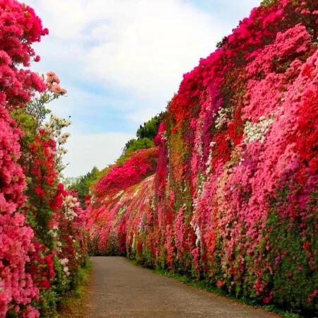 ریمیکس شاد دیجی پانی ۴۶ دژاوو ۲