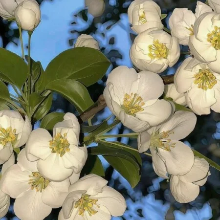 آهنگ شاد ترند وطن ای هستی من خواننده زن