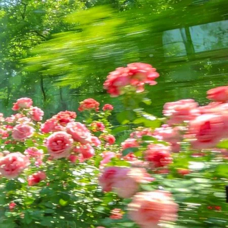 دانلود آهنگ شاد خداکنه یه روز بیای تو قلب من بمونی علی منتظری