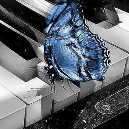 ریمیکس شاد لری سعید محمدی امشو شو لغزشه