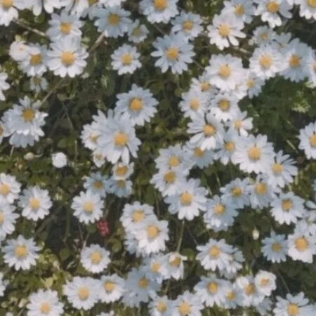 آهنگ شاد هوای قلبت از کاظم عرفان
