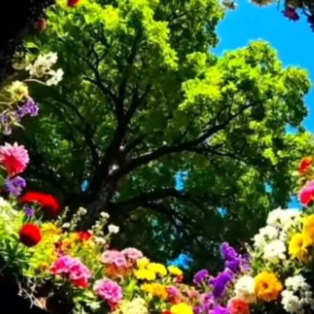 دانلود آهنگ شاد بندری هدیه ایرون ای زاده رود کارون سیاوش شمس