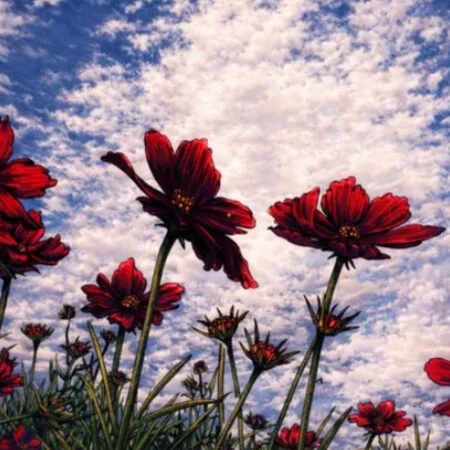 ریمیکس شاد قدیمی افسانه هستی