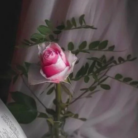 آهنگ شاد مامان طلا سه برادر خداوردی و علی تنها