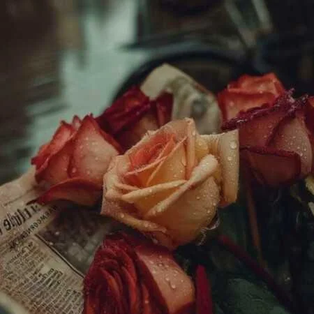 آهنگ شاد مازنی تو فرمان از مهدی احمدزاده