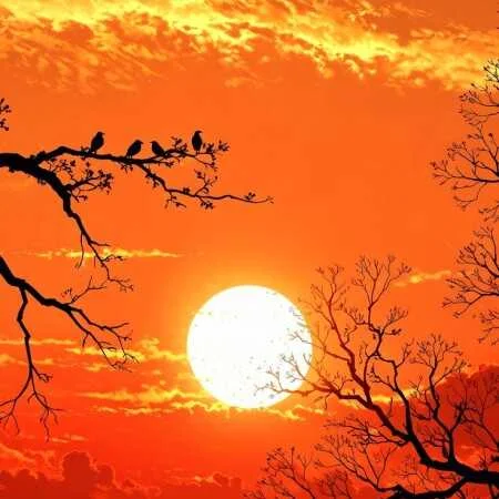 آهنگ شاد خارجی Rabiosa از شکیرا