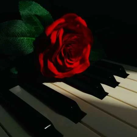 دانلود آهنگ شاد آذری نفس گوزلرین از حامد پاک