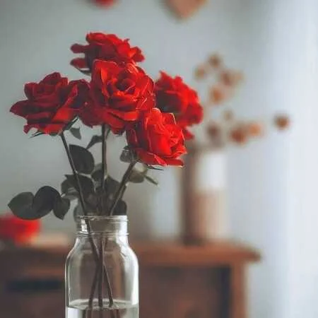 ریمیکس شاد یکی برسه به دادم مسلم فتاحی