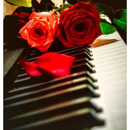 آهنگ شاد فرانسوی Alizee Lui Ou Toi