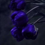ریمیکس شاد عربی تعال يا حبي هوش مصنوعی
