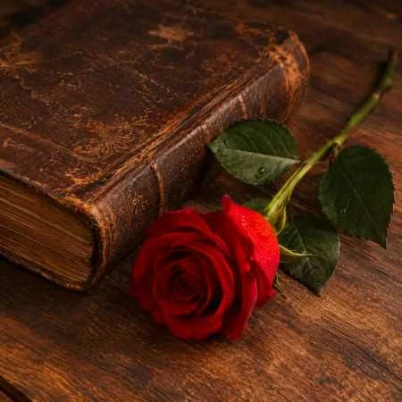 آهنگ شاد اشکم دونه دونه از دیده روونه با صدای مرد