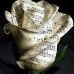 ریمیکس شاد Kaseye Khon