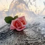 آهنگ شاد ترکیه ای کوچه لره سو سپمیسم
