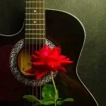 دانلود آهنگ شاد ترند من نندین انتظاره من به باغ اناره وا وا دختر زاهدانی هوش مصنوعی با صدای زن