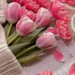 آهنگ شاد خارجی New Rules از دوا لیپا