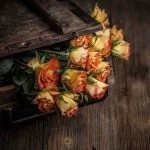 دانلود آهنگ شاد کره ای Not By The Moon از GoT7