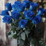 آهنگ شاد قدیمی اومدم تو حرم چشمای نازت نذرمو ادا کنم