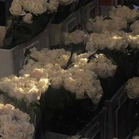 آهنگ شاد ترند دختر عمو جان از عماد