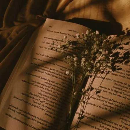 آهنگ شاد ترند مثه شعرای کتاب مدرسه همه حرفاتو از بر میدونم