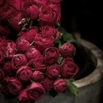 آهنگ شاد قدیمی میگن که پیرهن تنت گلای اطلسی داره داوود بهبودی