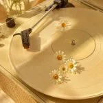 دانلود آهنگ شاد لری گل مخملی