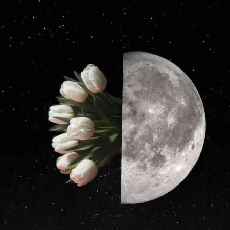 آهنگ شاد خانم یه نگاه به لنز دوربین از بهروز سکتور