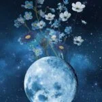 آهنگ شاد لری سوزه چم قشنگ میلاد بیرانوند